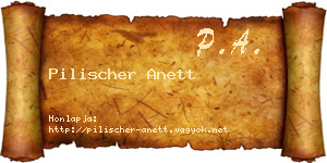 Pilischer Anett névjegykártya